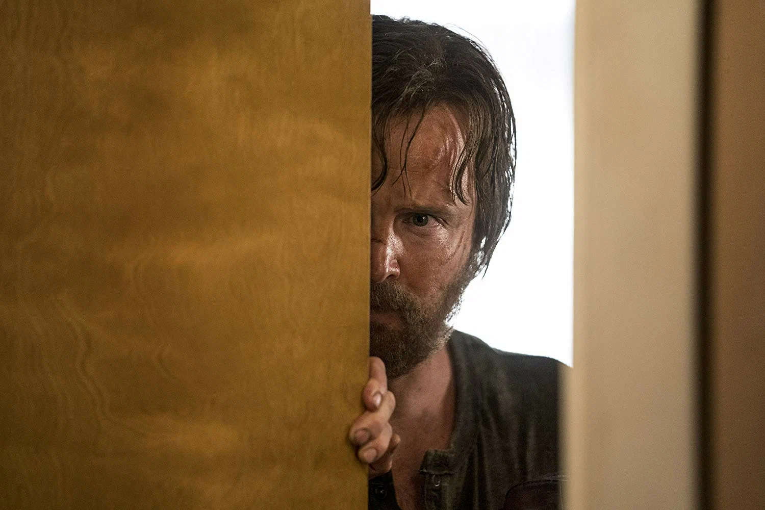 Кадр 1 из фильма Путь: Во все тяжкие  (2019)