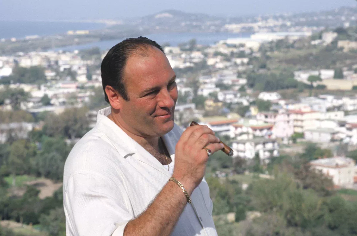 Кадр 1 из сериала Клан Сопрано 3 сезон (2001)